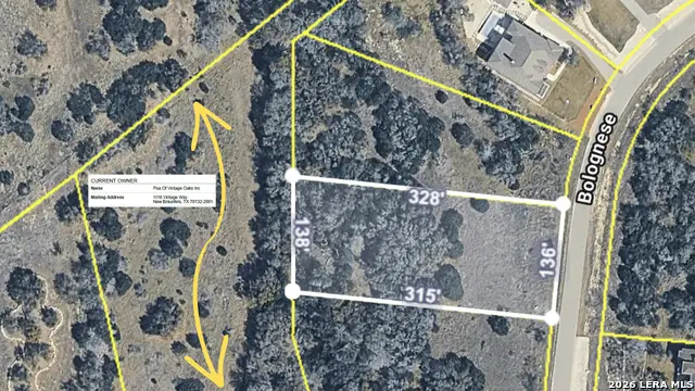 1526 Bolognese, New Braunfels, TX 78132 - #3