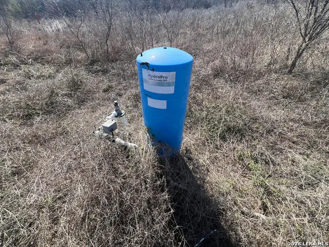 8113 Chestnut Ln, Pettus Pawnee, TX 78102 - #2