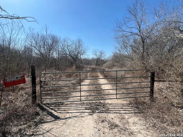 8113 Chestnut Ln, Pettus Pawnee, TX 78102 - #3