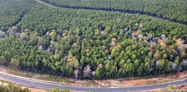 15884 Ridge Oak, Willis, TX 77378 - #1