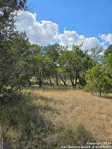 2142 Alto Lago, Canyon Lake, TX 78133 - #3