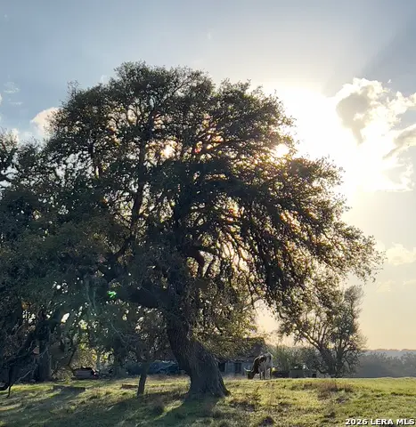 124 E Purple Sage, Blanco, TX 78606 - #2