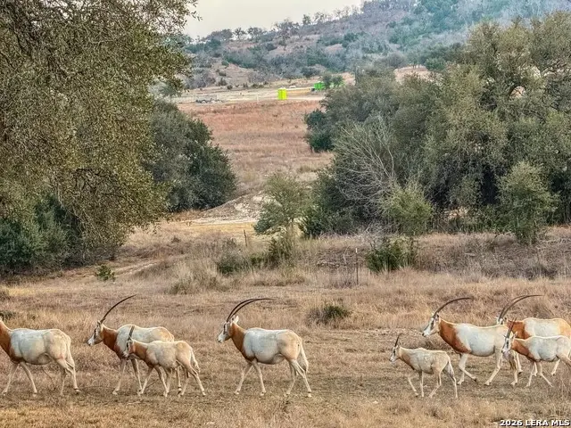 211 Majestic Hills, Blanco, TX 78606 - #2