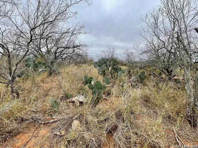 7.55 ACRES Cr 2701, Bigfoot, TX 78005 - #3