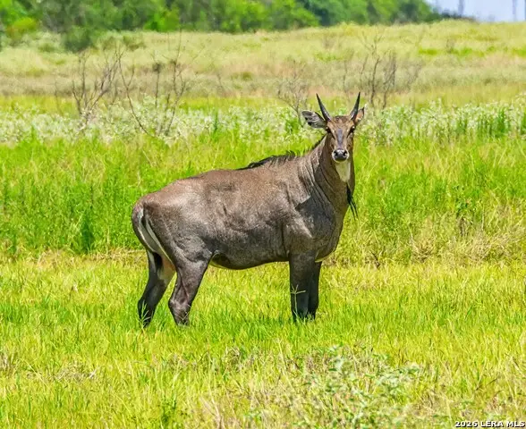 TBD Zinnia Road, Lyford, TX 78580 - #1