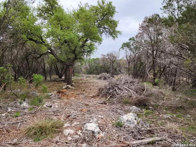 1745 Moon View, New Braunfels, TX 78132 - #3