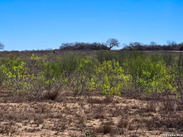 9239 Cr 123, Pawnee, TX 78145 - #2