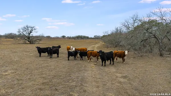 000 County Road 454, Stockdale, TX 78160