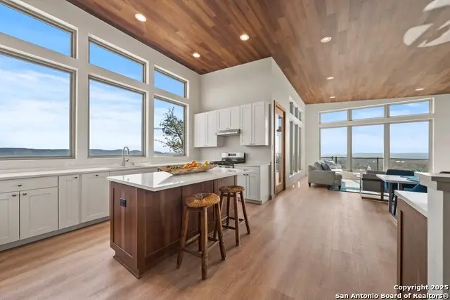 301 Vip, Canyon Lake, TX 78133 - #2