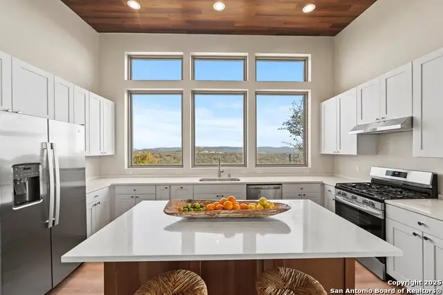 301 Vip, Canyon Lake, TX 78133 - #3