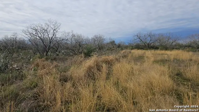 949 W Ave K Lots 3283-3285, Christine, TX 78012 - #1