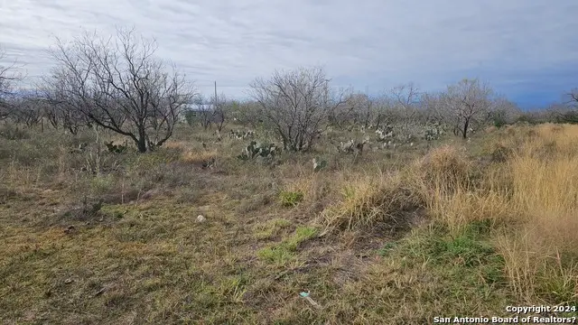 949 W Ave K Lots 3283-3285, Christine, TX 78012 - #2