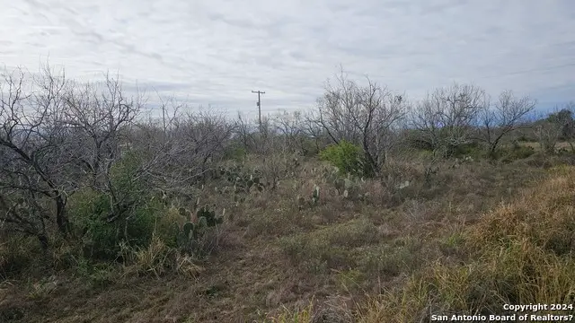 949 W Ave K Lots 3283-3285, Christine, TX 78012 - #3