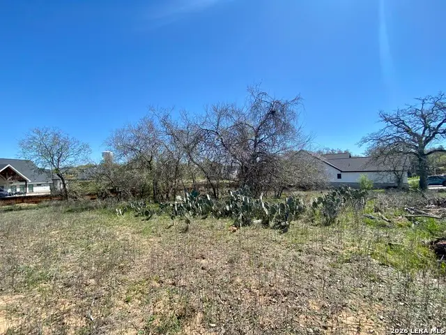 117 Red Oak Trail, La Vernia, TX 78121 - #2