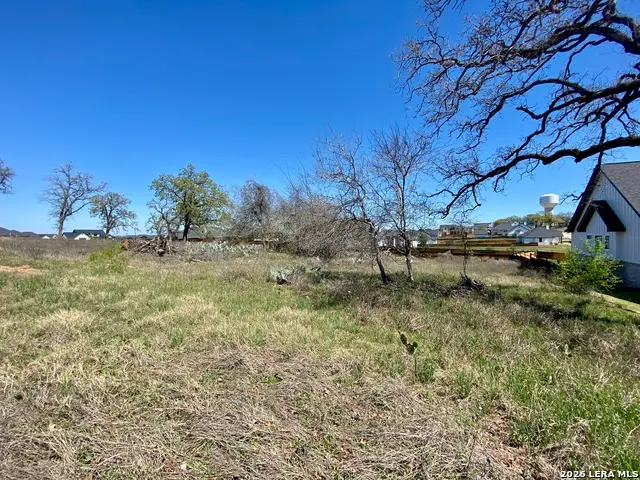 117 Red Oak Trail, La Vernia, TX 78121 - #3