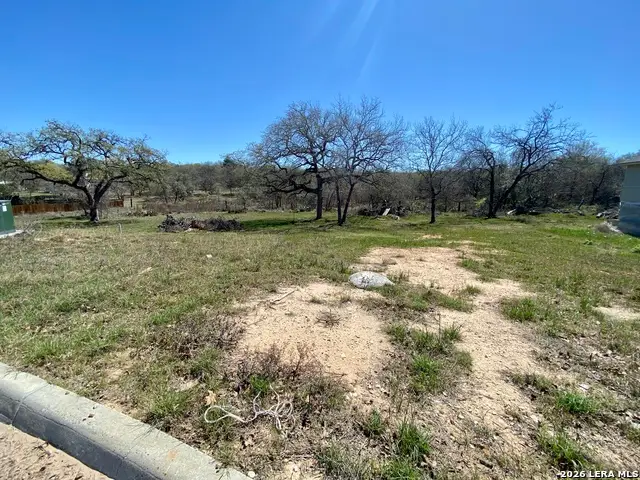 129 Ash Parkway, La Vernia, TX 78121 - #2