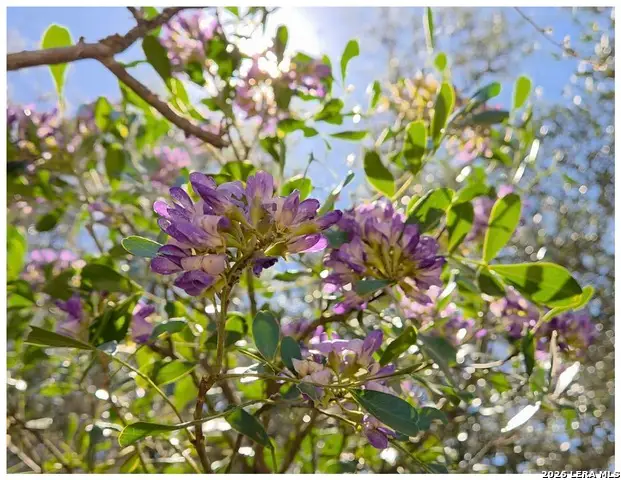 10219 Rafter O, Helotes, TX 78023 - #2