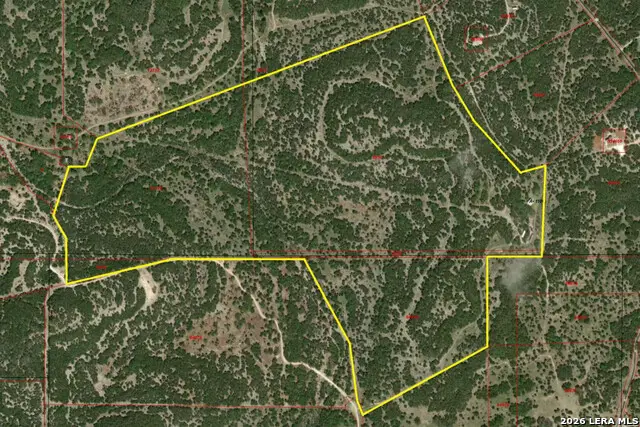 916 Private Road 2532, Mico, TX 78056 - #1