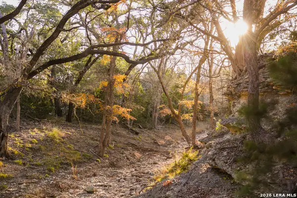 242 Model T, Blanco, TX 78606