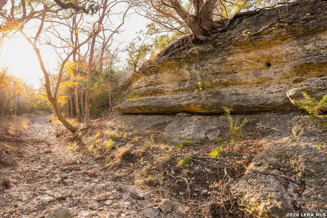 242 Model T, Blanco, TX 78606 - #2