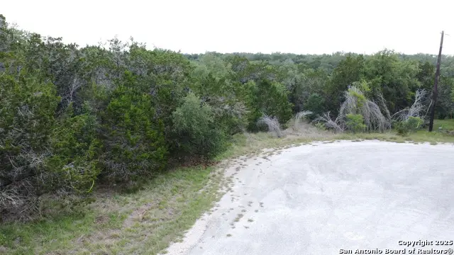 TBD County Road 2473, Hondo, TX 78861 - #3
