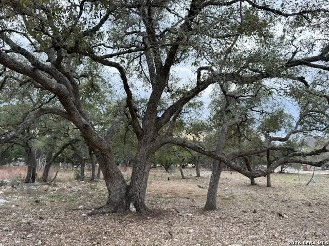 104 C Chisholm, Blanco, TX 78606 - #2