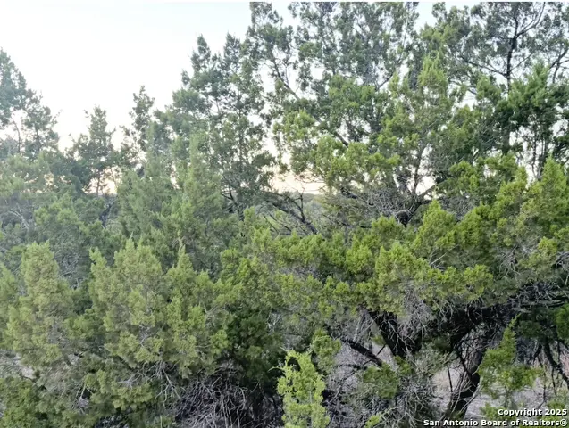 124 Camp Verde, Bandera, TX 78003 - #3