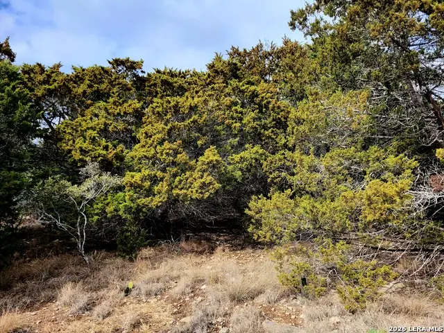 2066 Stallion Springs Dr, Fischer, TX 78623 - #1