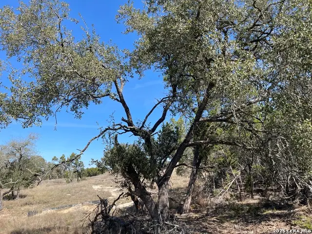 2219 Hiline, Bulverde, TX 78163 - #2