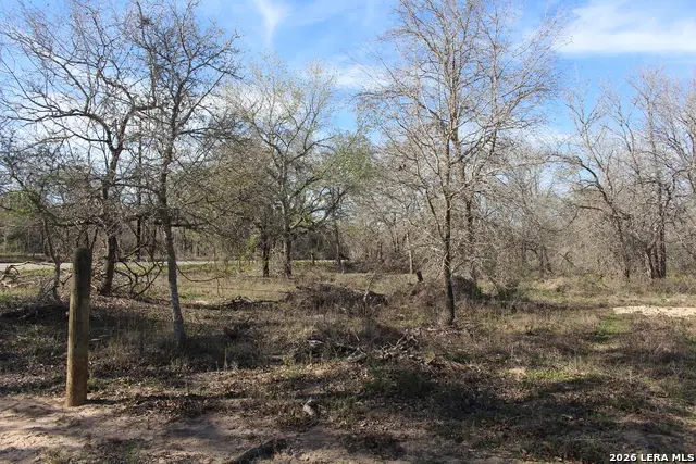 0 TBD Mathis, Elmendorf, TX 78112 - #3