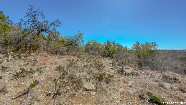 1034 Blue Bonnet Hill, Spring Branch, TX 78070 - #1