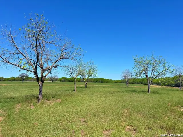 3265 Highway 97, Jourdanton, TX 78026 - #2