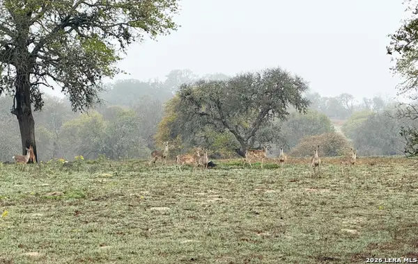 534 Whitetail Dr, Adkins, TX 78101