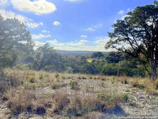 150 Riddle, Spring Branch, TX 78070 - #1