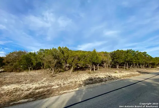 LOT 149 Private Road 1738, Mico, TX 78056 - #1