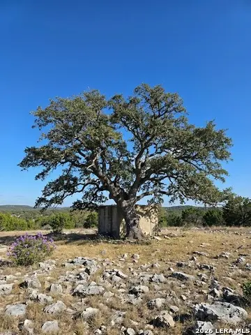 1518 Sd 54500, Rocksprings, TX 78880 - #3