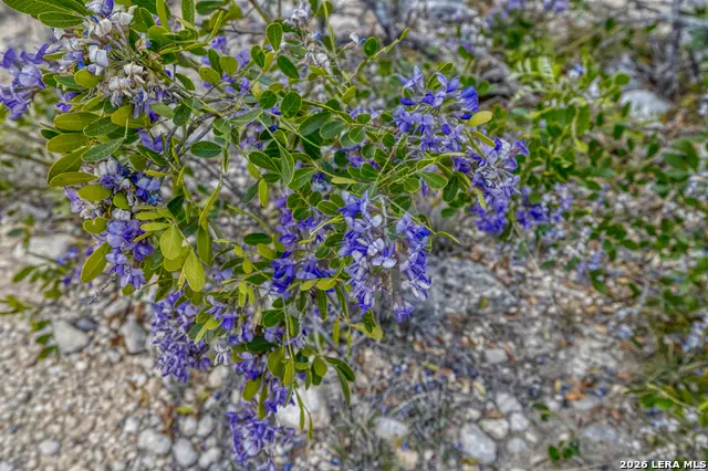 9600 Ranch Road 336, Leakey, TX 78873 - #2