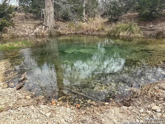 15902 N Highway 16, Medina, TX 78055 - #2