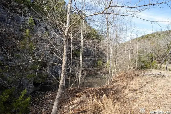 2633 Jackson Creek, Medina, TX 78055