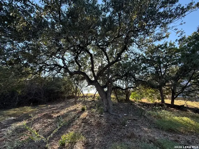 8004 Arbor Vlg, Boerne, TX 78015 - #2