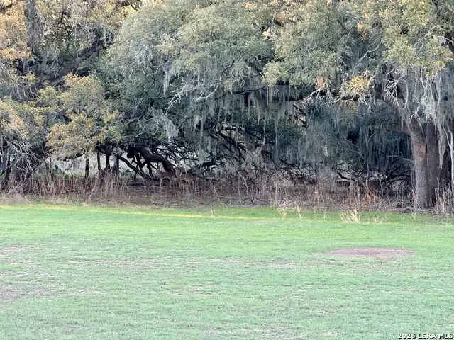 638 Cool Spring Drive, Spring Branch, TX 78070 - #3