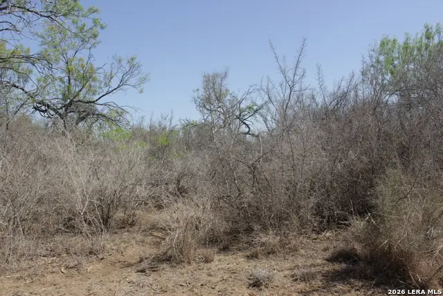 200 Rogers Ranch Road, Big Wells, TX 78830 - #3