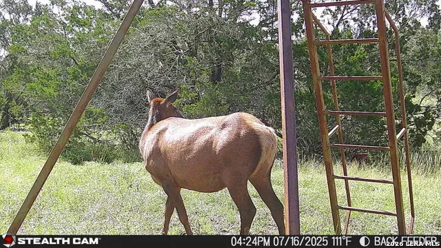 462 Schenk-witkowski, Rocksprings, TX 78880 - #2