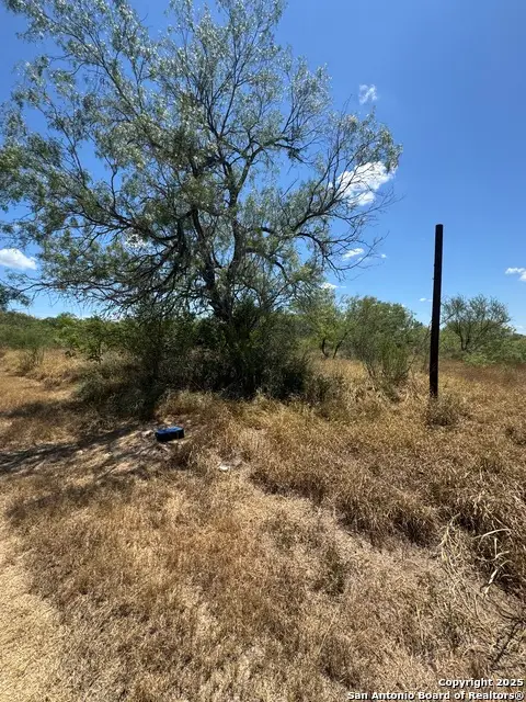 404 Avenue J, Christine, TX 78012 - #3