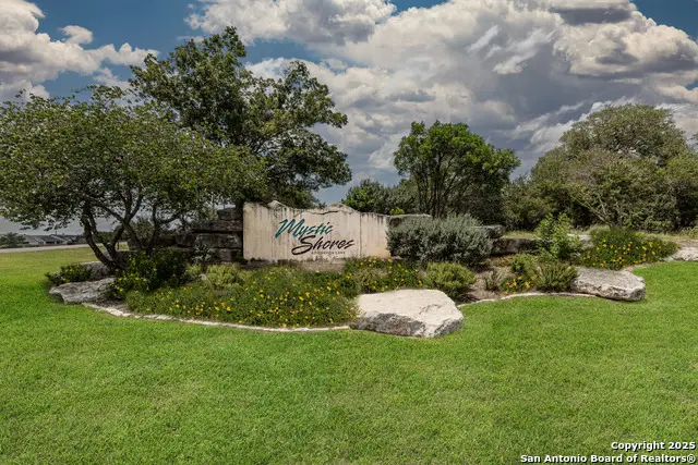 376 Charon Point, Spring Branch, TX 78070 - #1