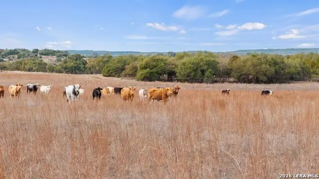 0 Clearwater Grotto, Wimberley, TX 78676 - #2