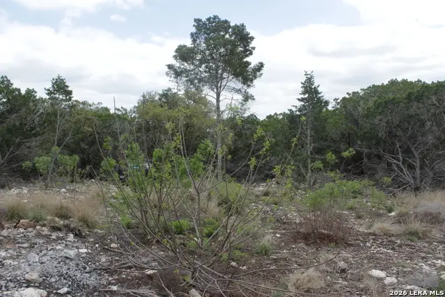 10451 W Rr 337, Camp Wood, TX 78833 - #2