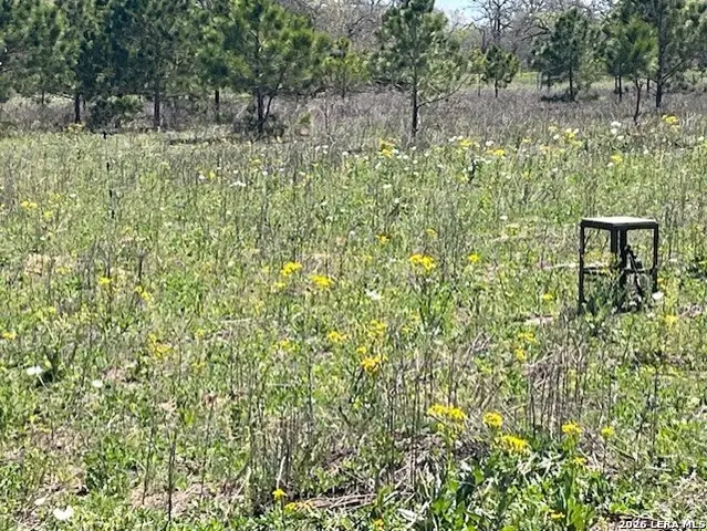 6611 Fm 1681, Stockdale, TX 78160 - #3