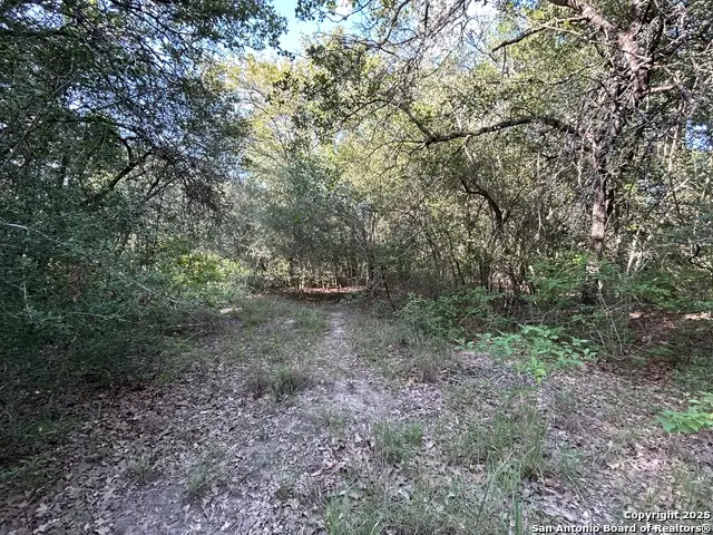 175 Smith, La Vernia, TX 78121 - #2