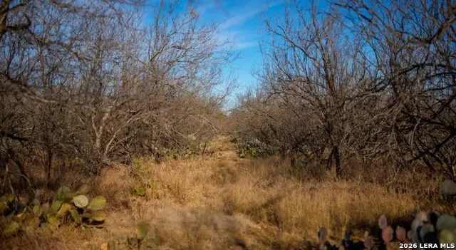 1799 Shumaca Road, Carrizo Springs, TX 78834 - #3